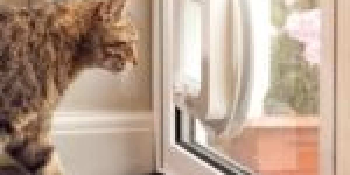 A Guide To Expert Pet Door Installation From Beginning To End