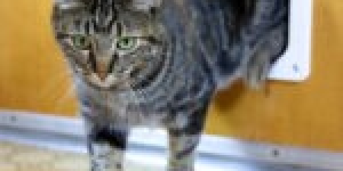 It's The One Cat Flap Specialist Trick Every Person Should Learn